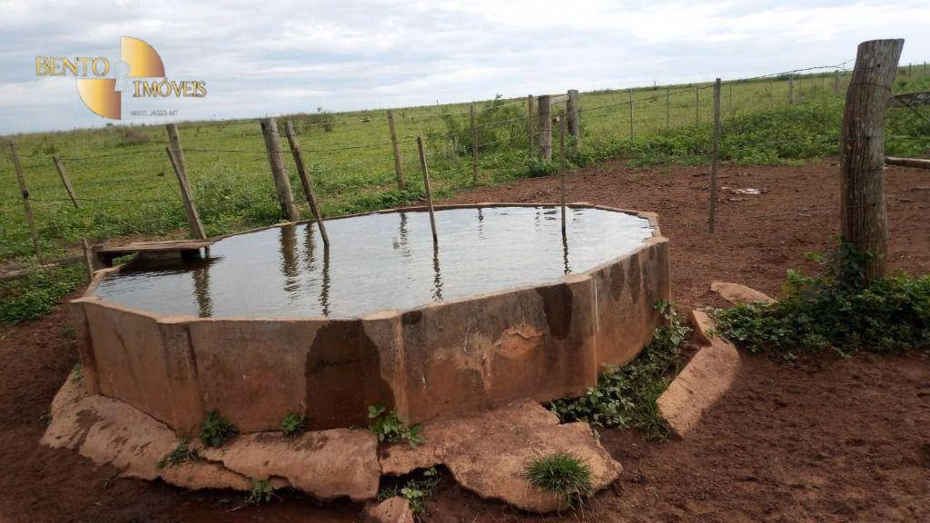 Fazenda de 1.455 ha em Juscimeira, MT