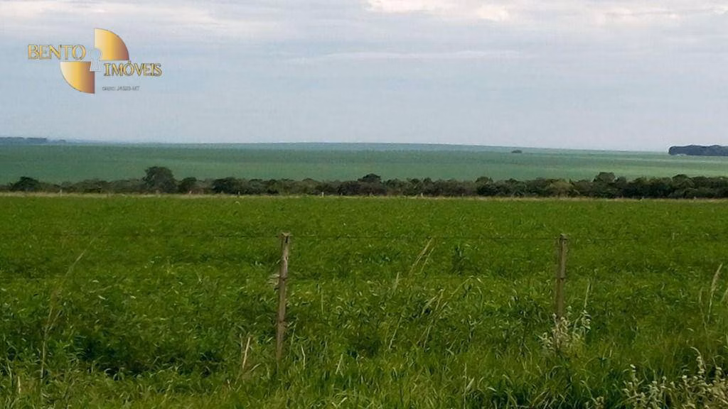 Fazenda de 1.455 ha em Juscimeira, MT