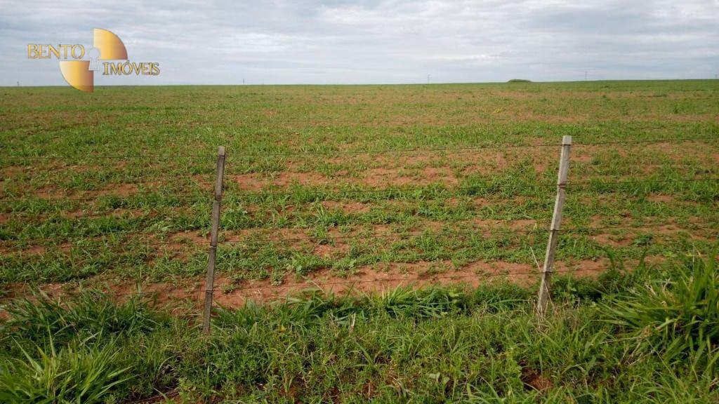 Fazenda de 1.455 ha em Juscimeira, MT