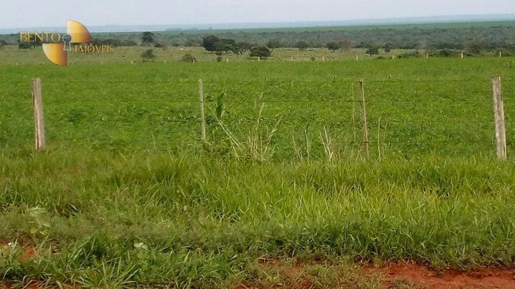 Fazenda de 1.455 ha em Juscimeira, MT