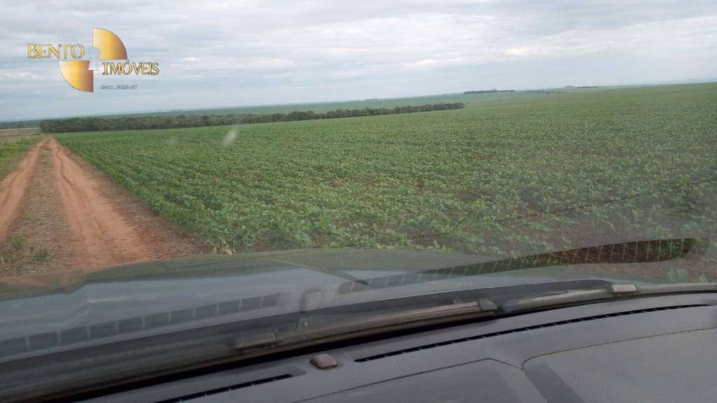 Fazenda de 1.455 ha em Juscimeira, MT