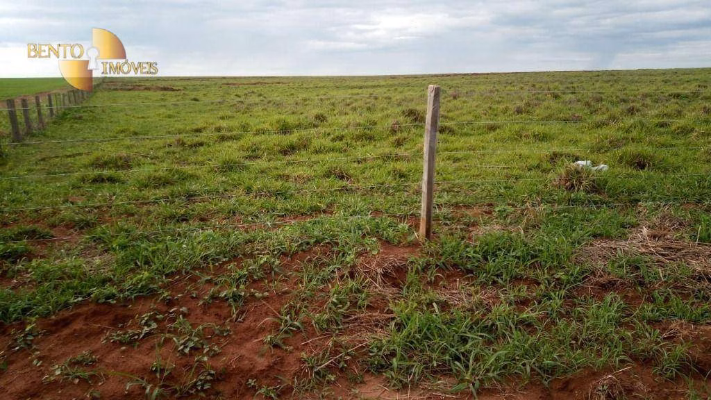 Fazenda de 1.455 ha em Juscimeira, MT