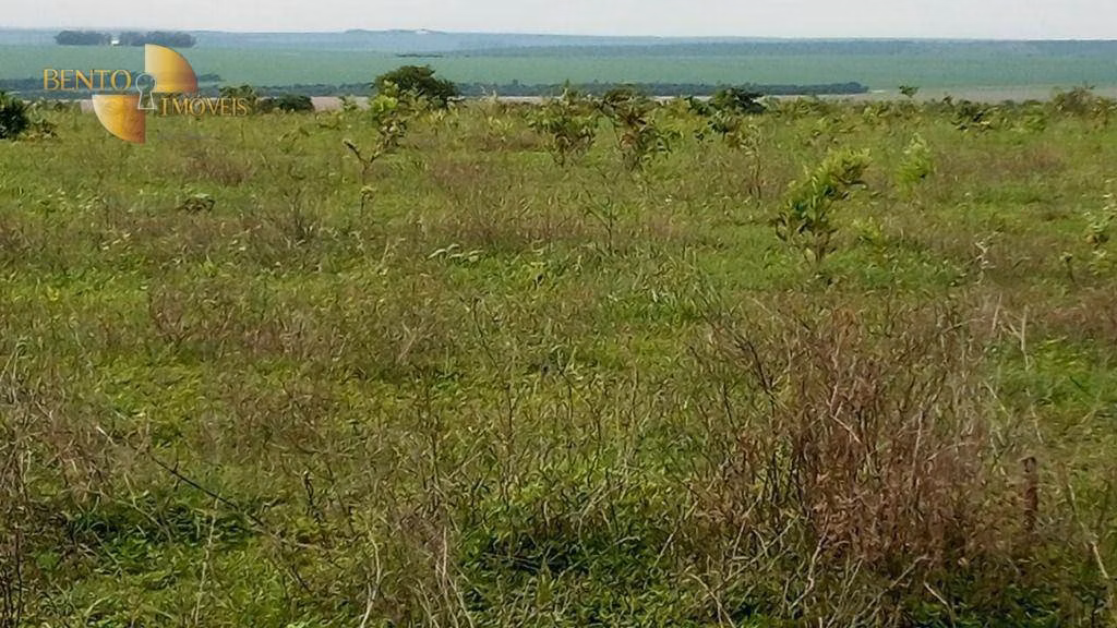 Fazenda de 1.455 ha em Juscimeira, MT