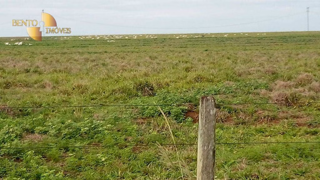 Fazenda de 1.455 ha em Juscimeira, MT