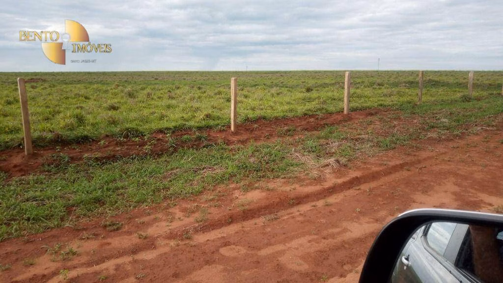 Fazenda de 1.455 ha em Juscimeira, MT