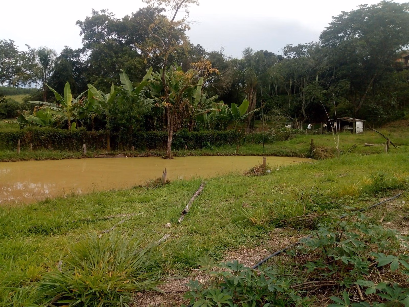 Country home of 2 acres in São José dos Campos, SP, Brazil