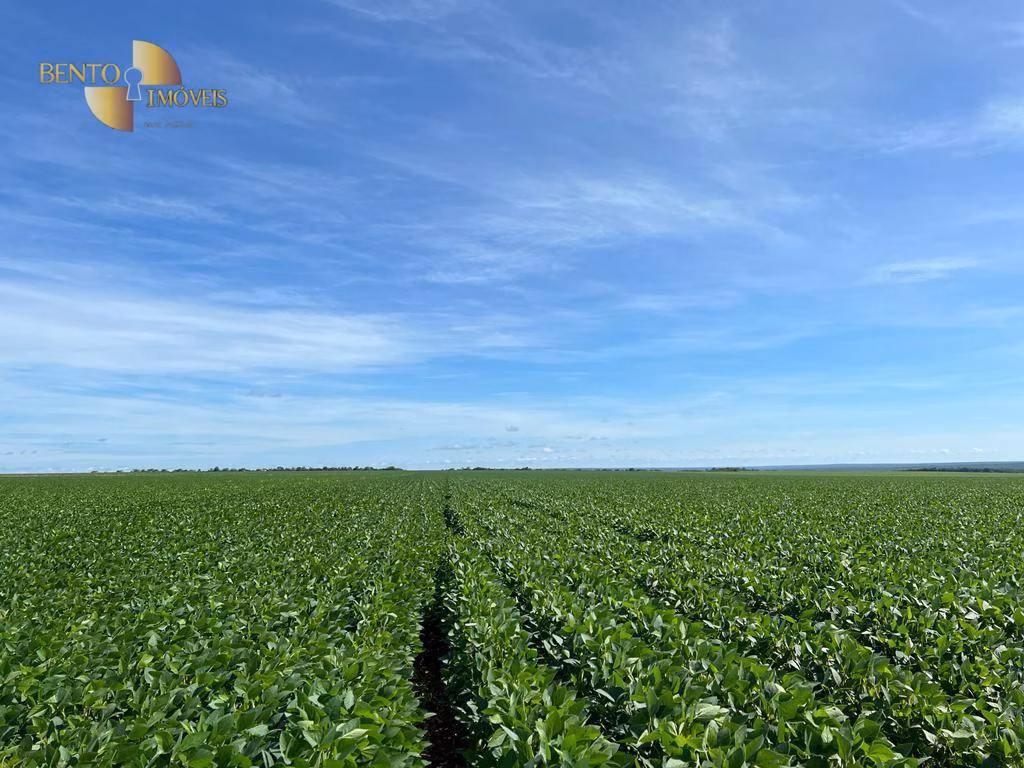 Fazenda de 850 ha em Sapezal, MT
