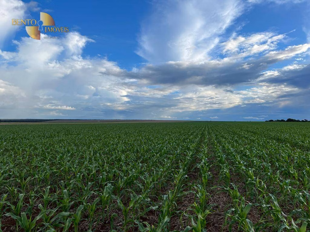 Fazenda de 850 ha em Sapezal, MT