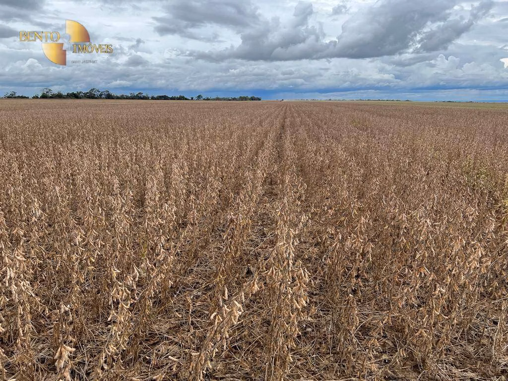 Farm of 2.100 acres in Sapezal, MT, Brazil