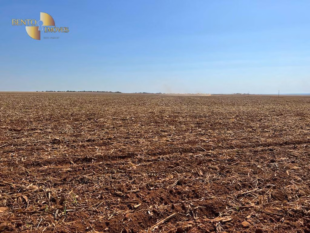 Fazenda de 850 ha em Sapezal, MT