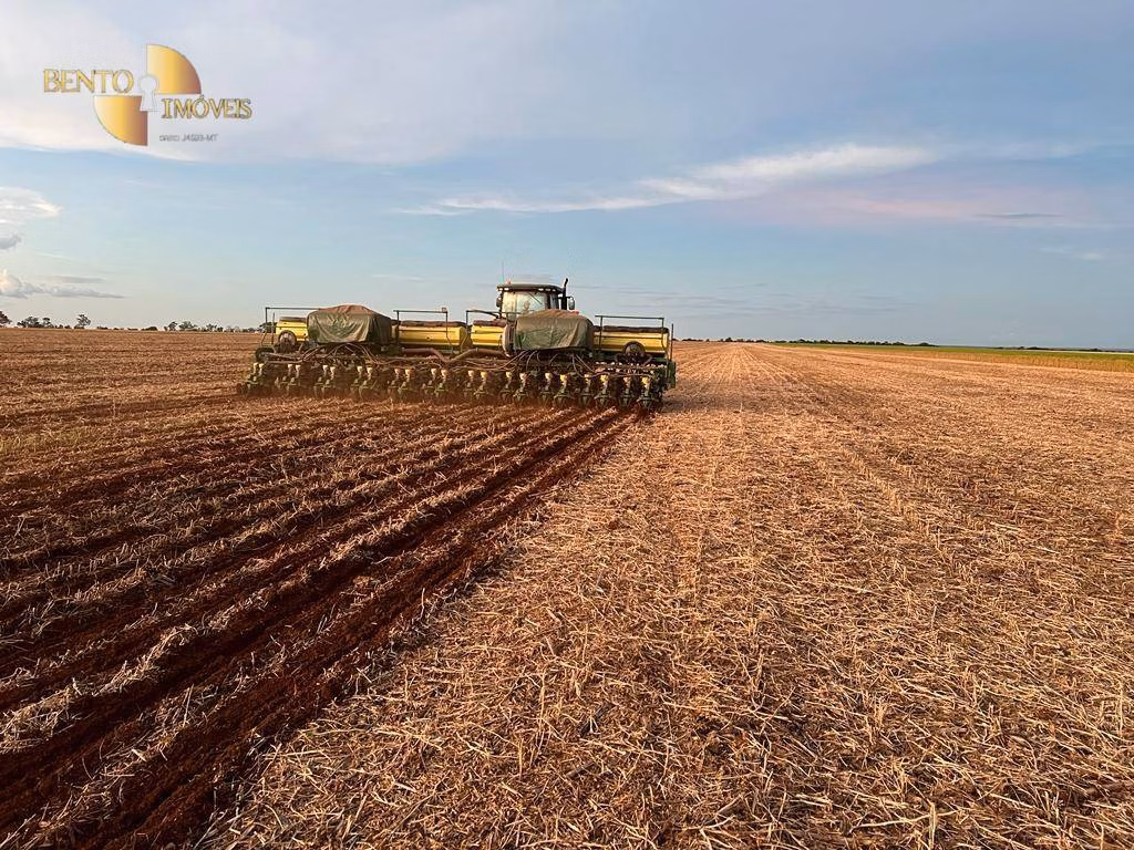 Fazenda de 850 ha em Sapezal, MT