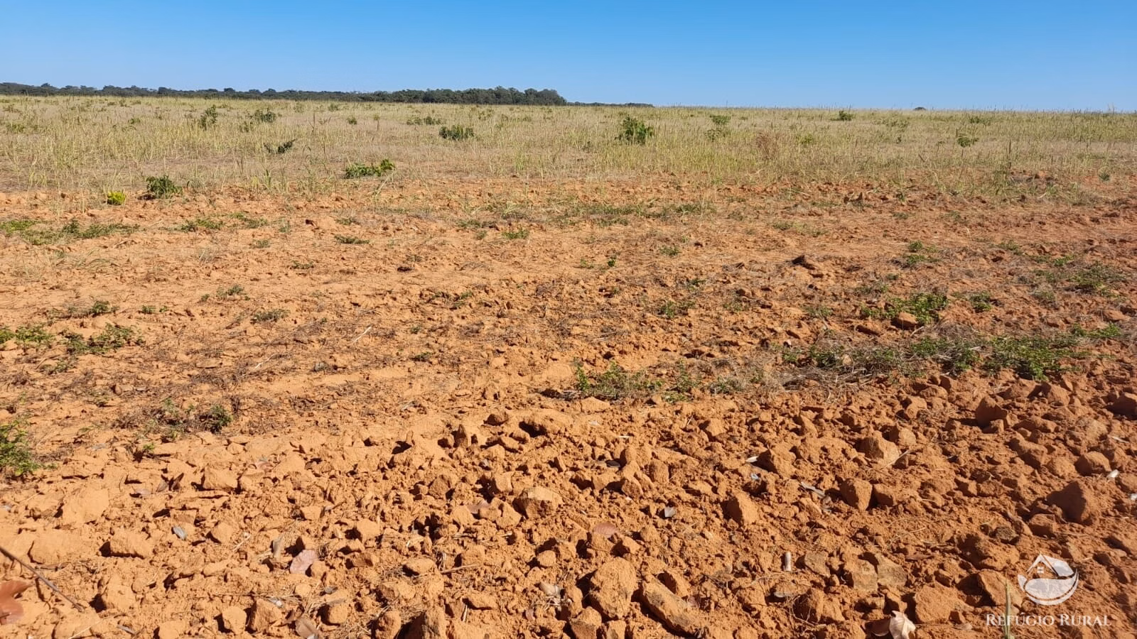 Farm of 1.829 acres in Alvorada, TO, Brazil