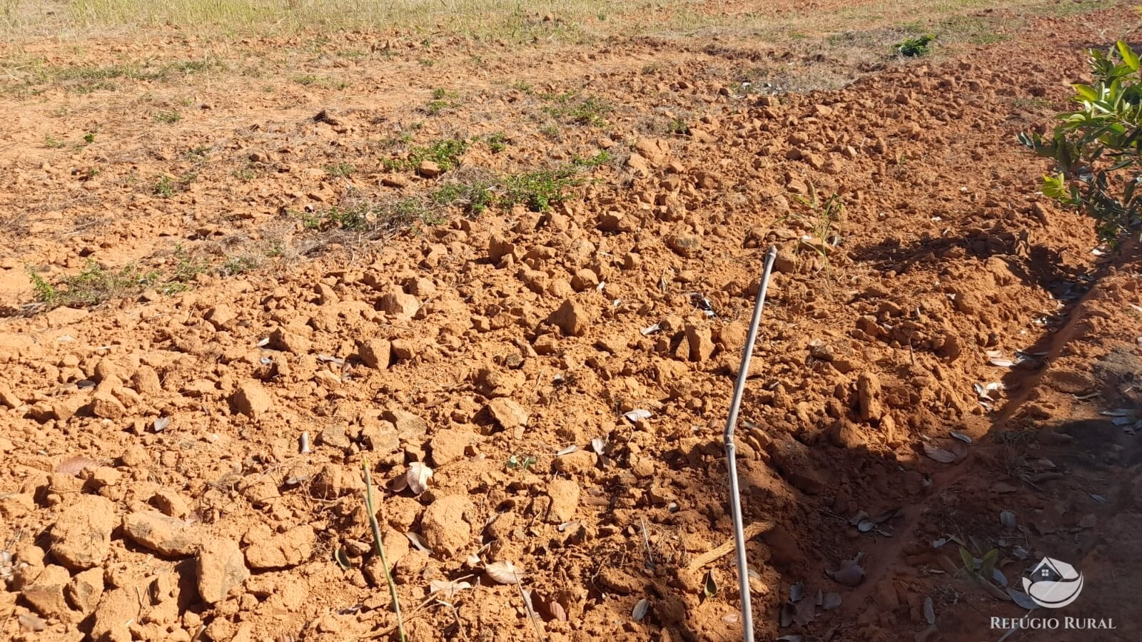 Farm of 1.829 acres in Alvorada, TO, Brazil