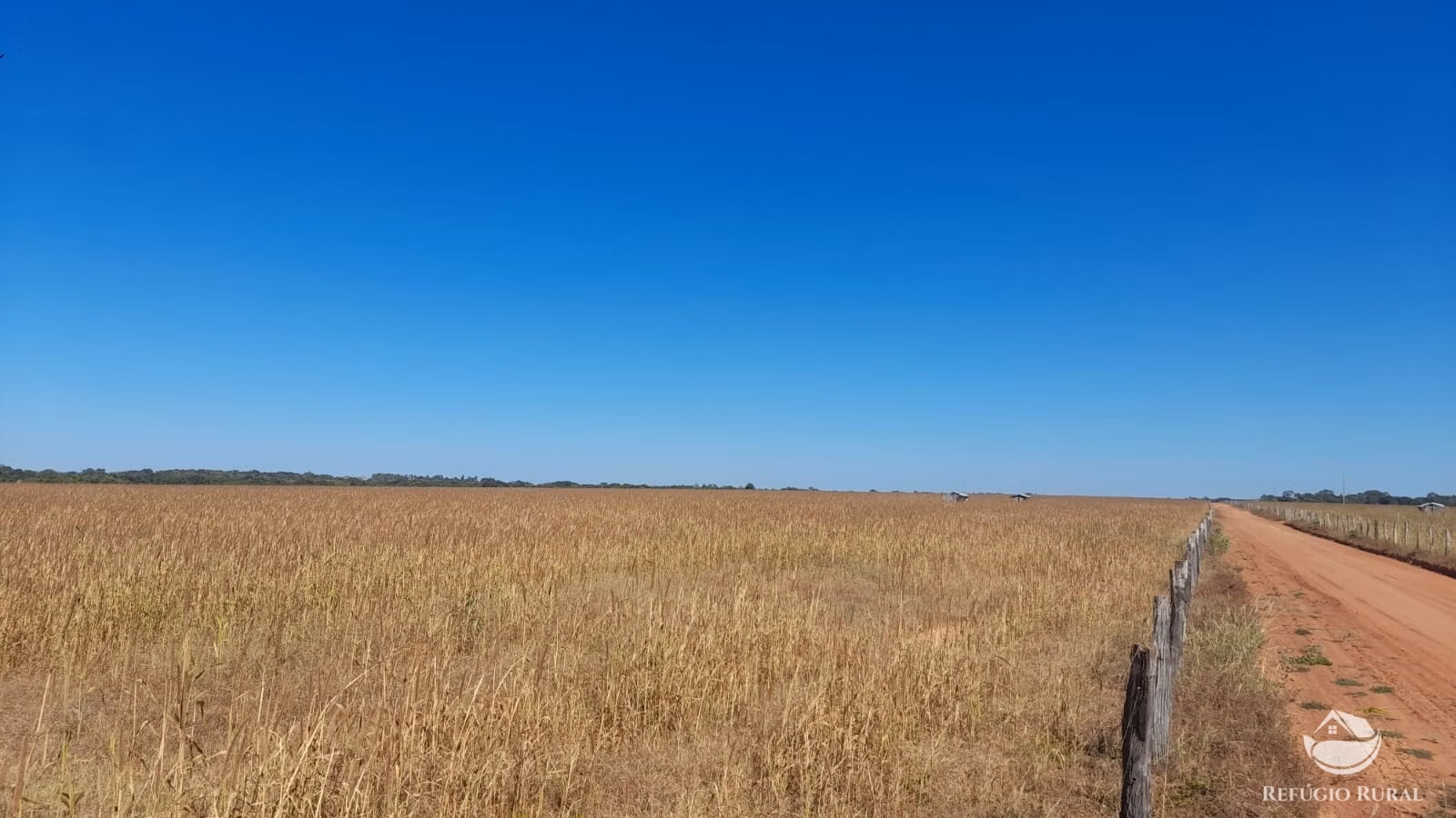 Fazenda de 740 ha em Alvorada, TO