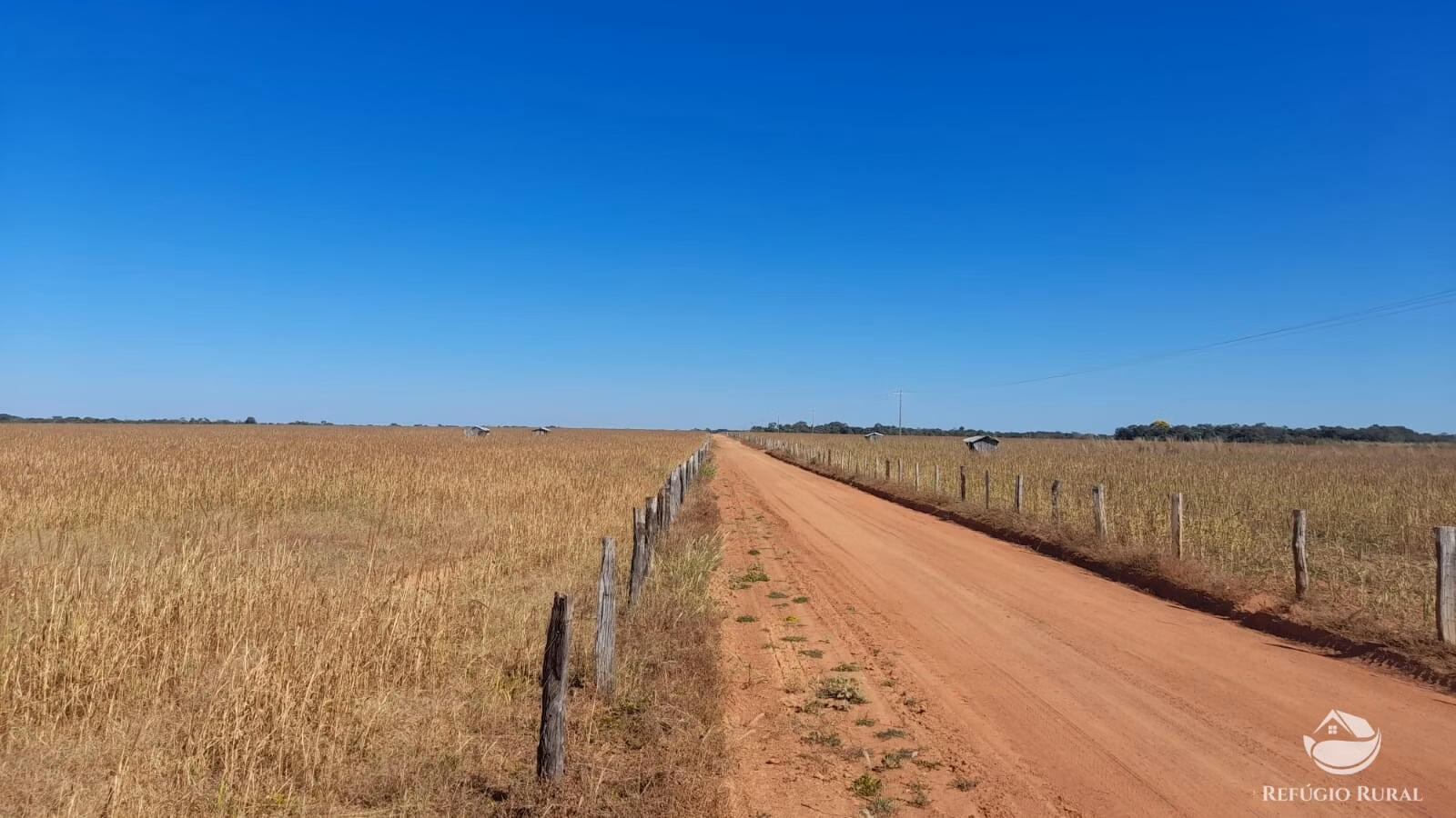 Fazenda de 740 ha em Alvorada, TO