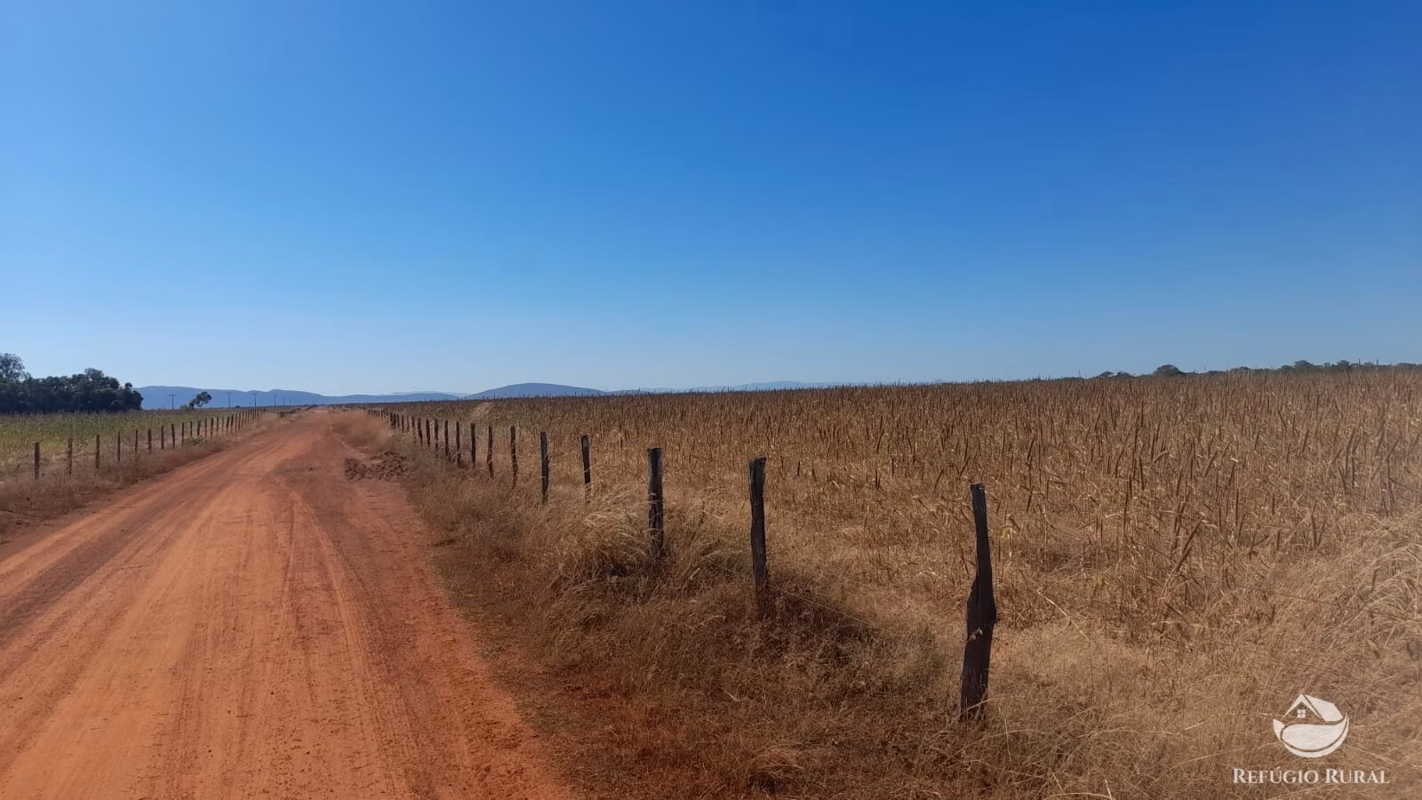 Fazenda de 740 ha em Alvorada, TO
