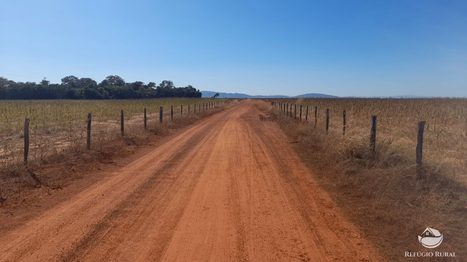 Fazenda de 740 ha em Alvorada, TO