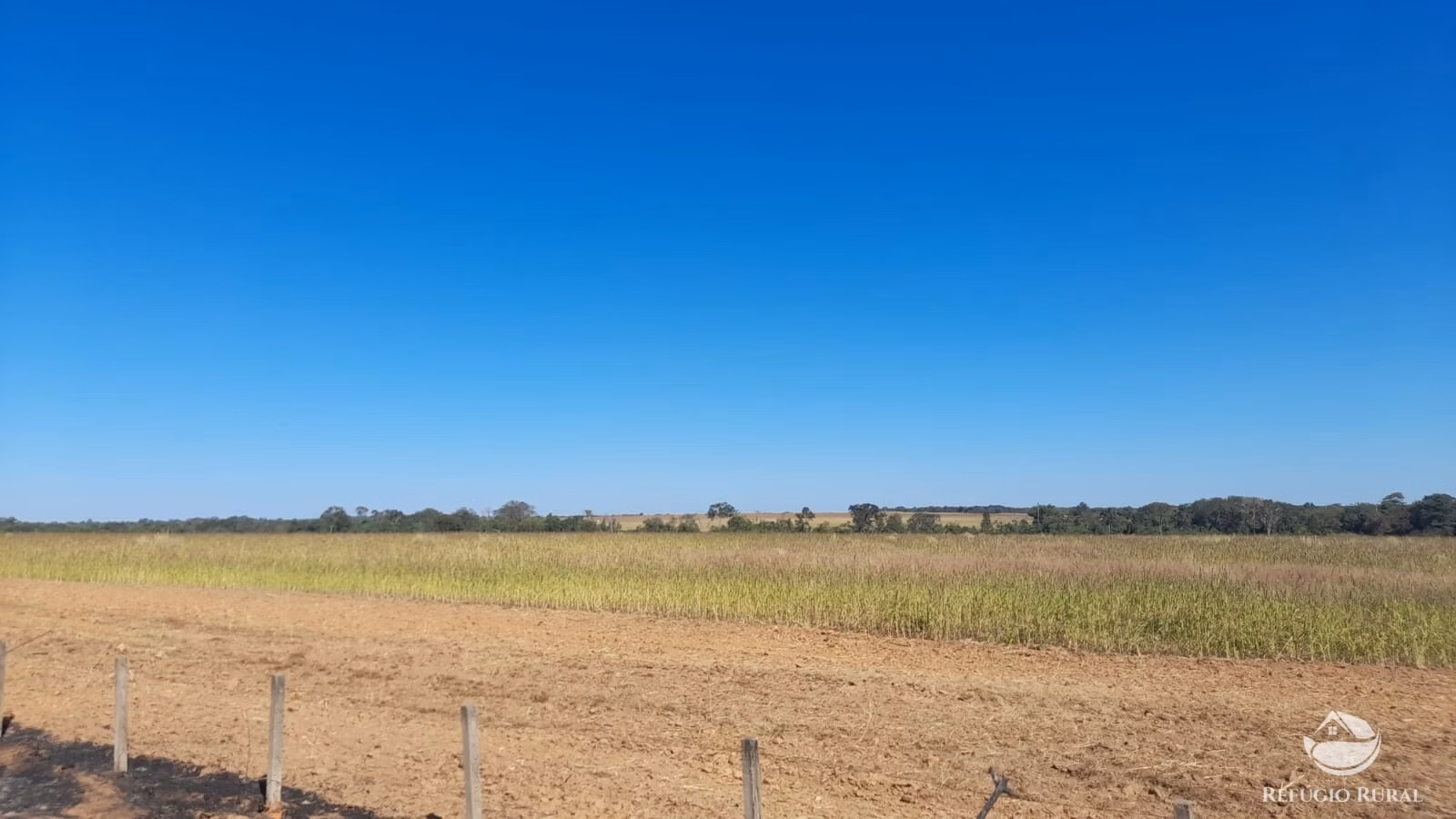 Fazenda de 740 ha em Alvorada, TO