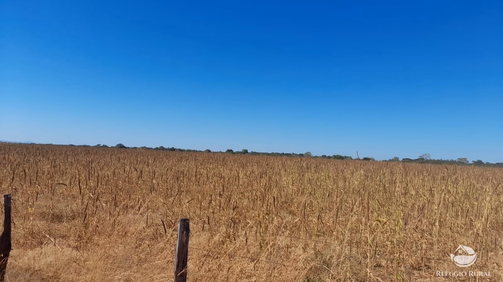 Fazenda de 740 ha em Alvorada, TO