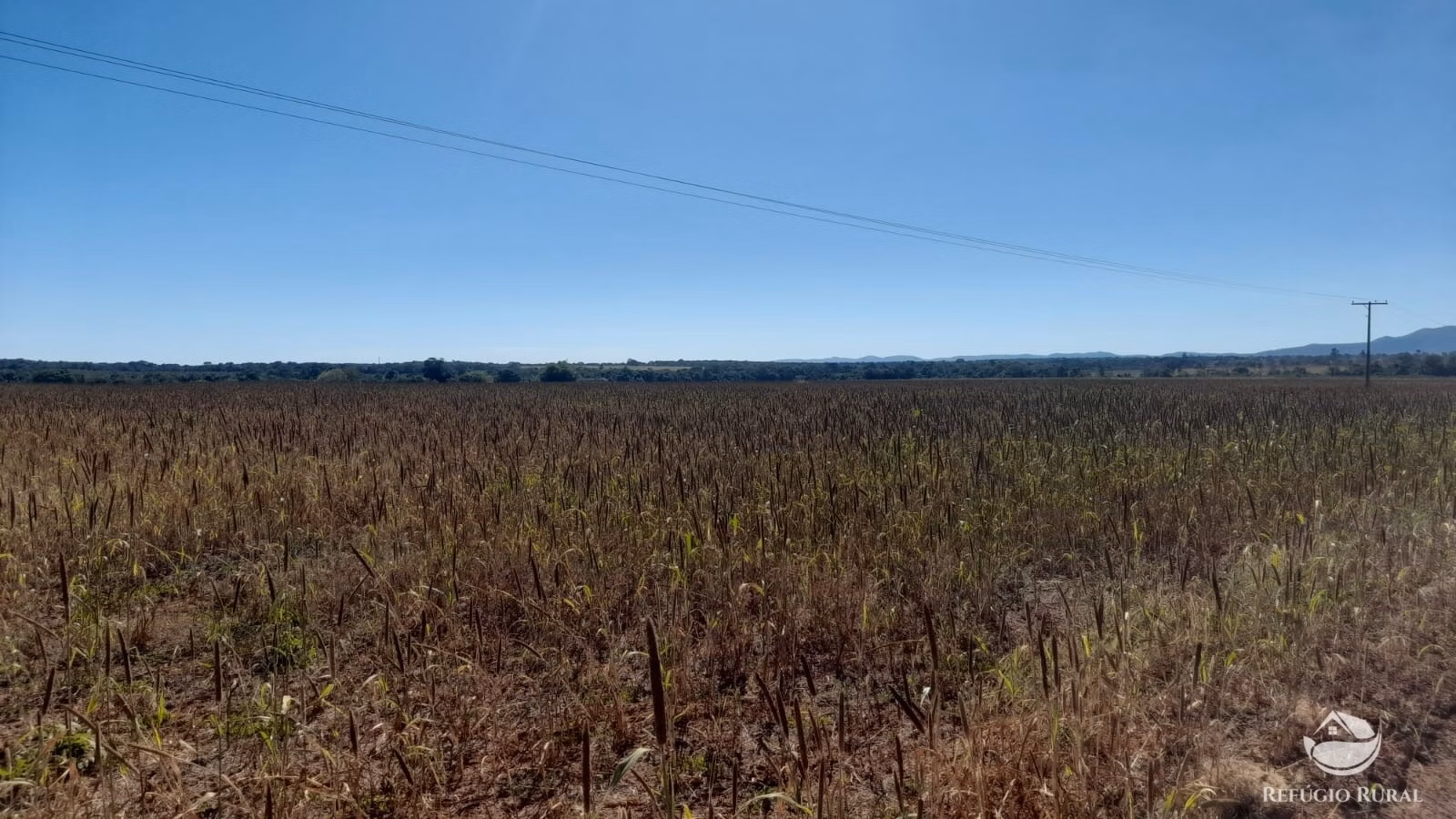 Fazenda de 740 ha em Alvorada, TO