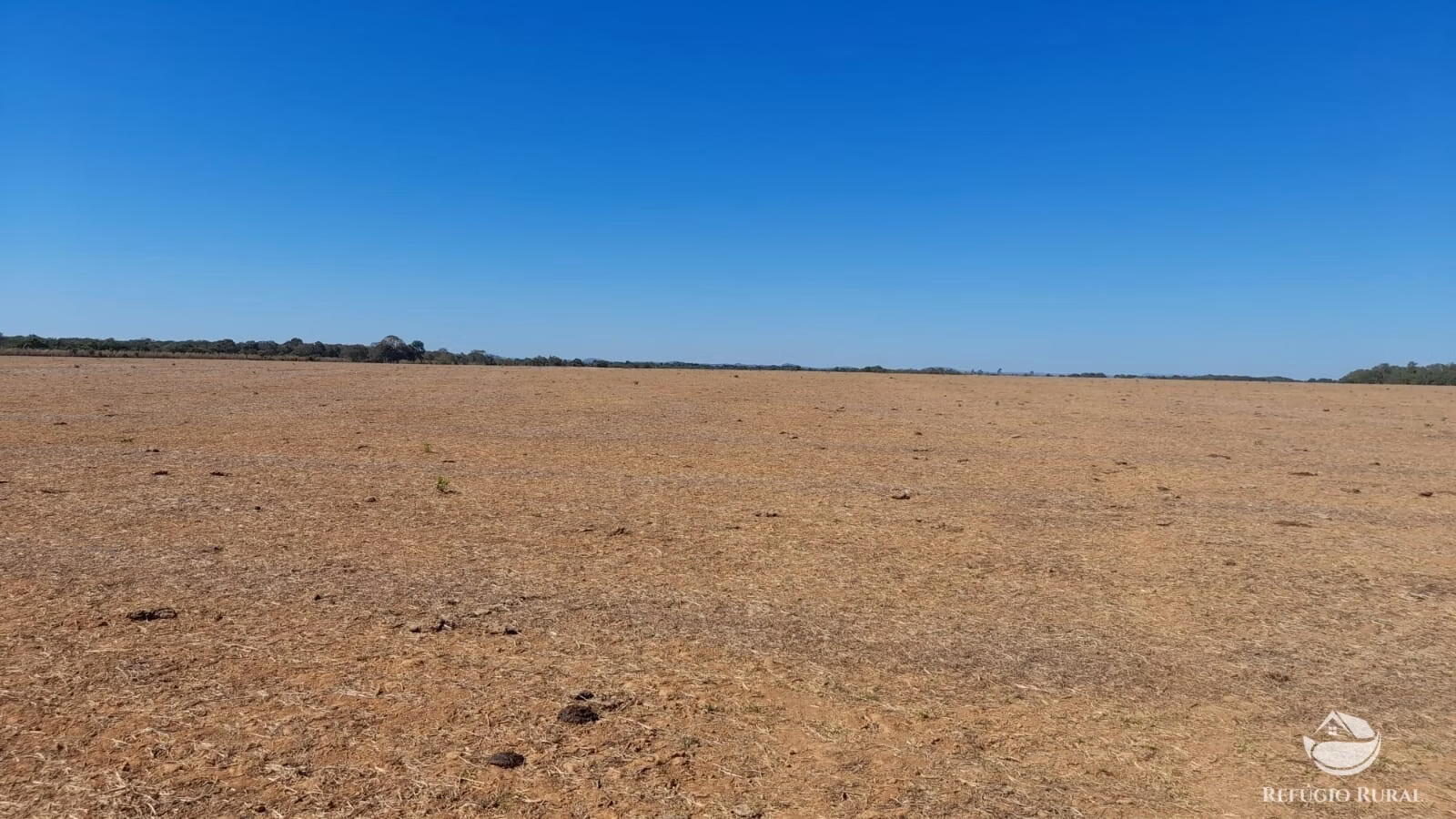 Fazenda de 740 ha em Alvorada, TO