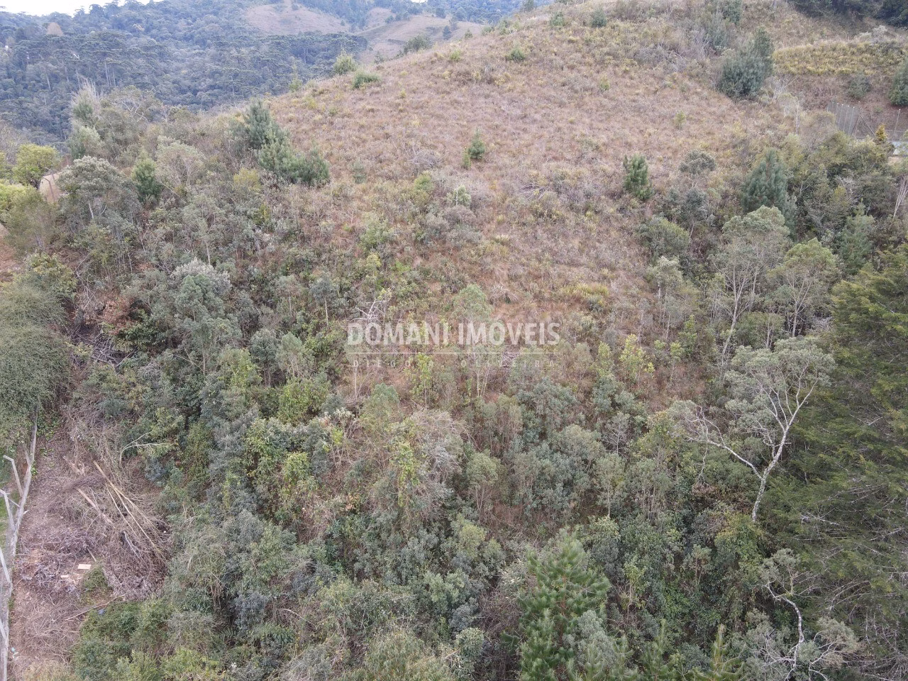 Plot of 3.690 m² in Campos do Jordão, SP, Brazil