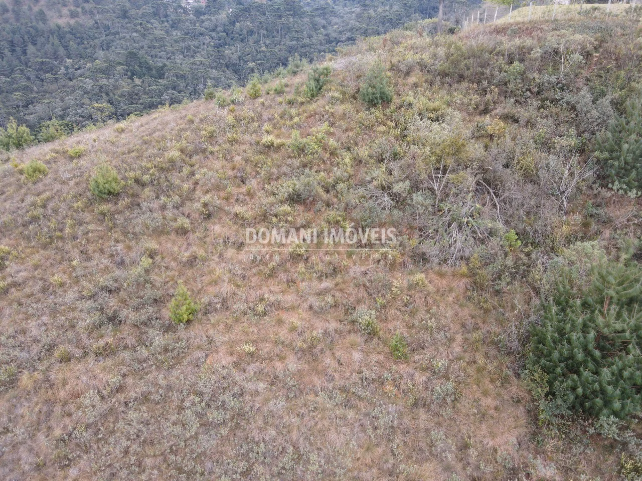 Terreno de 3.690 m² em Campos do Jordão, SP