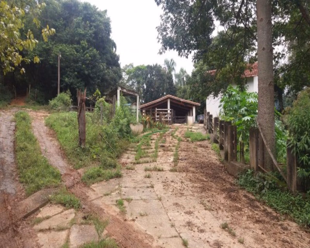 Sítio de 44 ha em São José dos Campos, SP