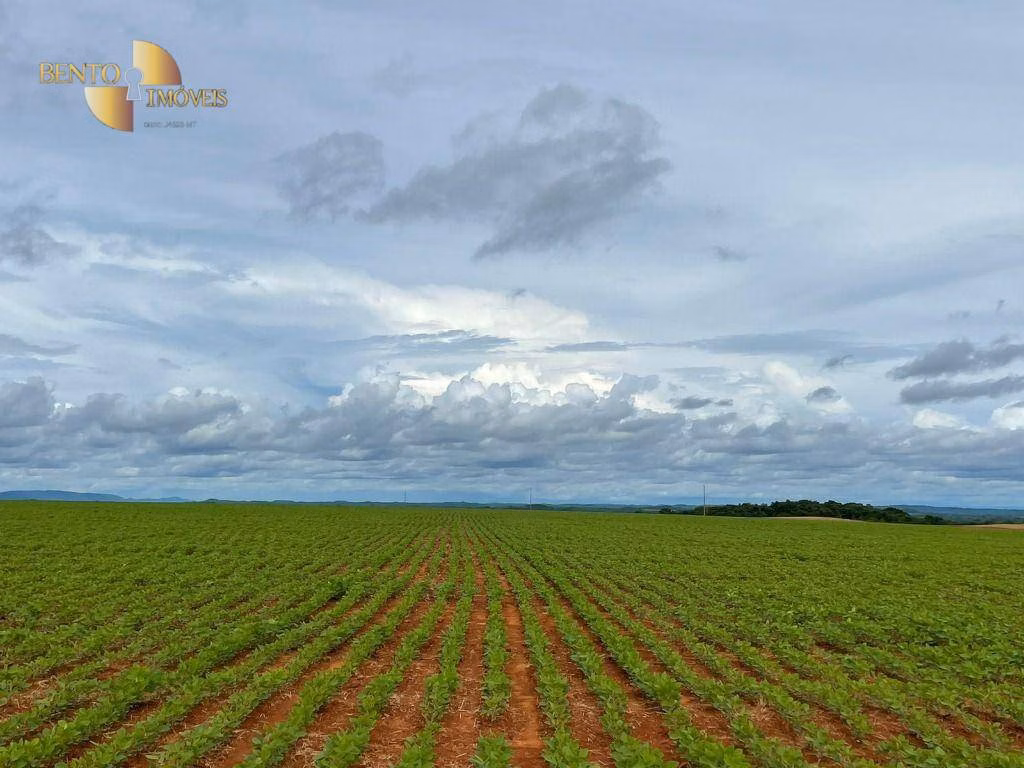 Fazenda de 1.145 ha em Diamantino, MT