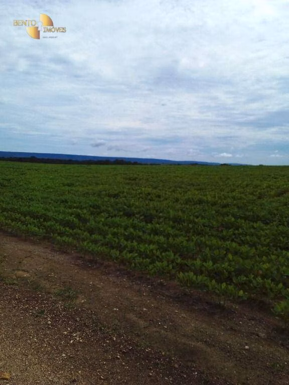 Fazenda de 1.145 ha em Diamantino, MT