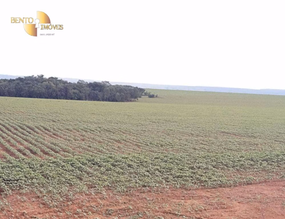 Fazenda de 1.145 ha em Diamantino, MT