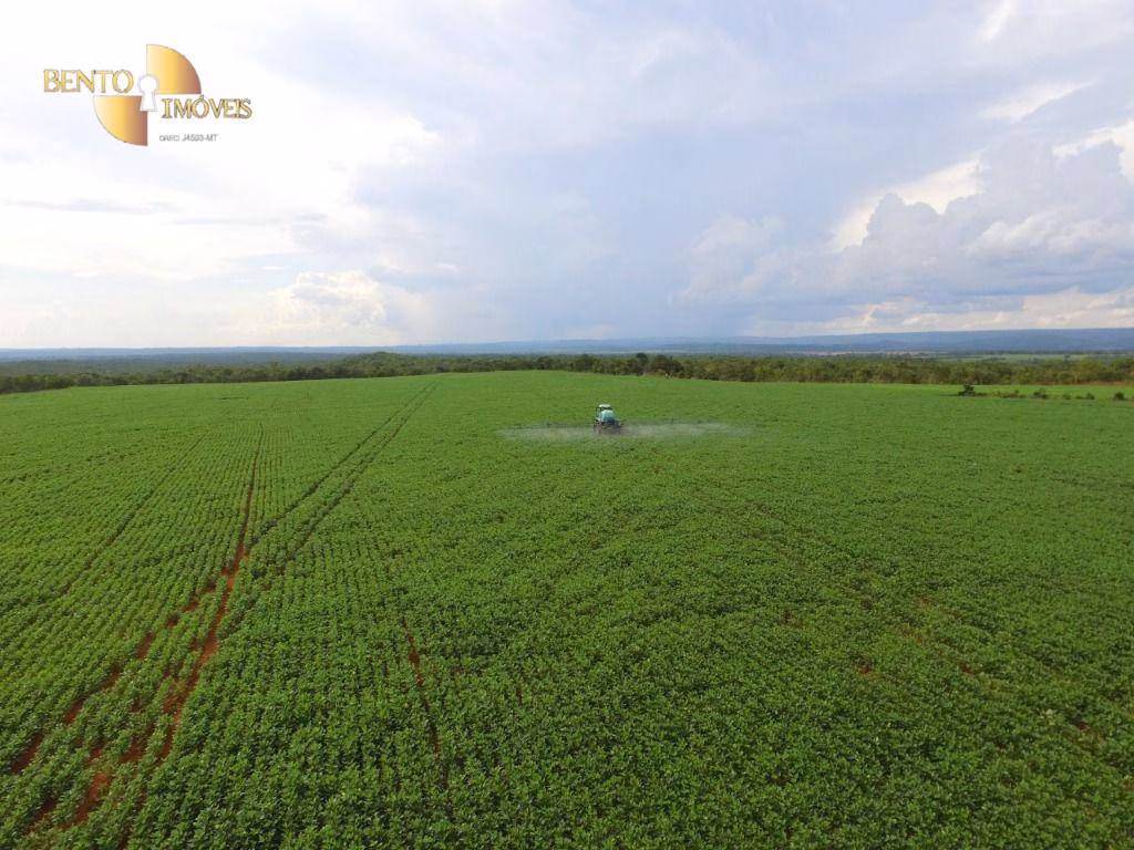 Fazenda de 1.145 ha em Diamantino, MT
