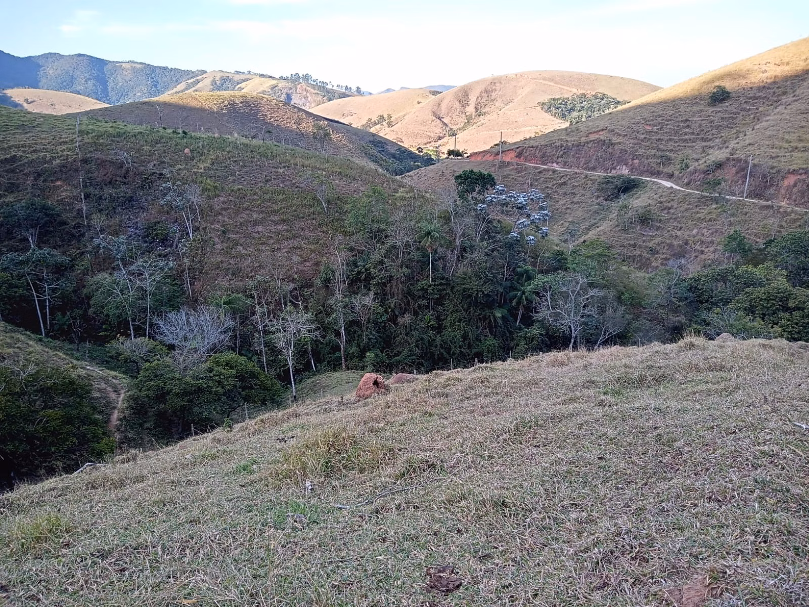 Small farm of 48 acres in São José dos Campos, SP, Brazil