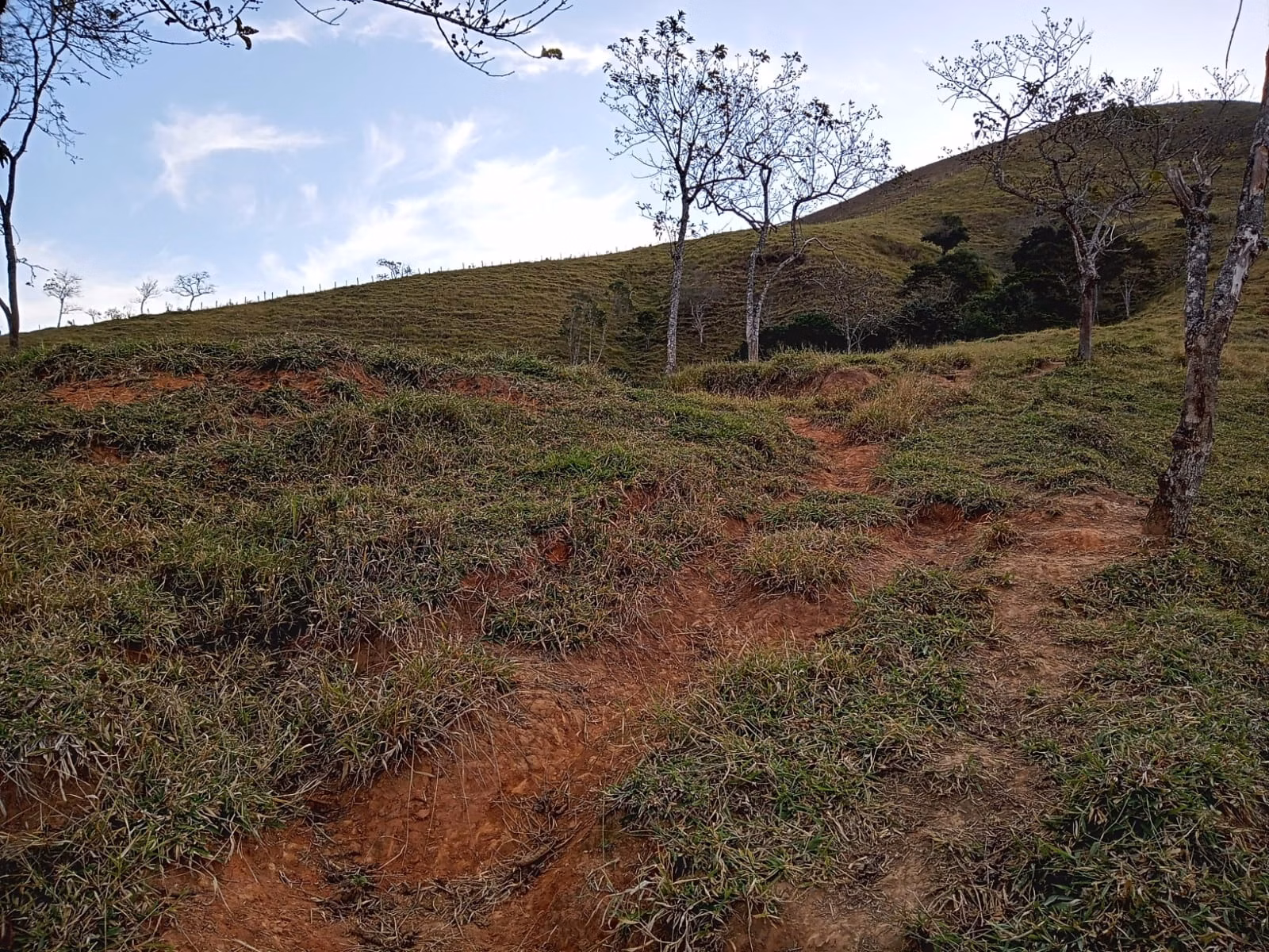 Small farm of 48 acres in São José dos Campos, SP, Brazil