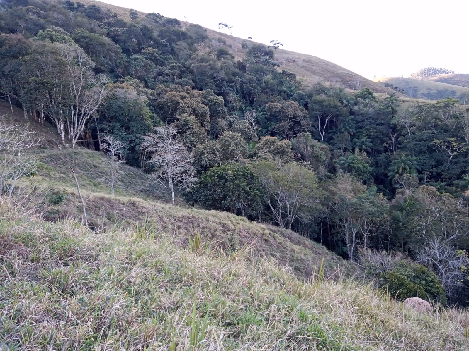 Small farm of 48 acres in São José dos Campos, SP, Brazil