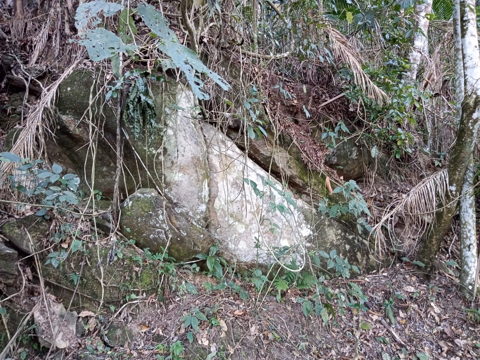Sítio de 19 ha em São José dos Campos, SP