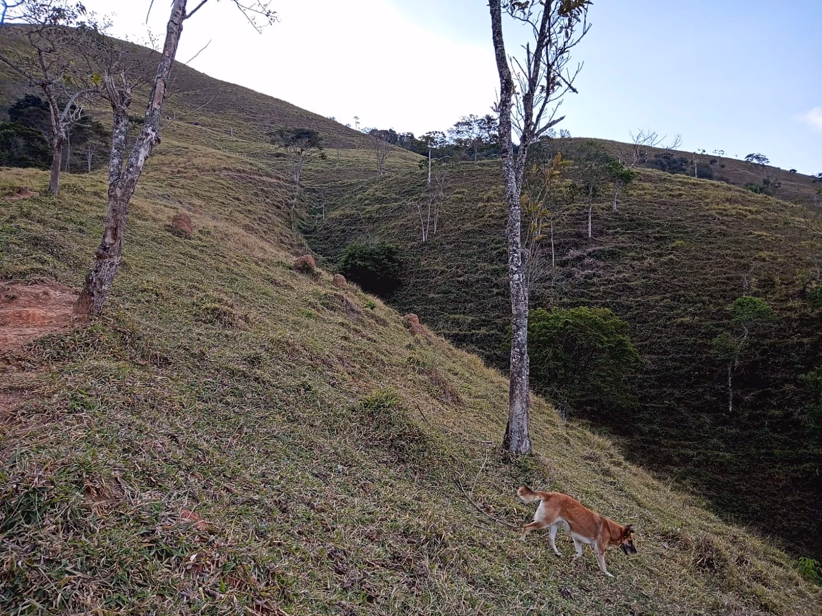 Small farm of 48 acres in São José dos Campos, SP, Brazil