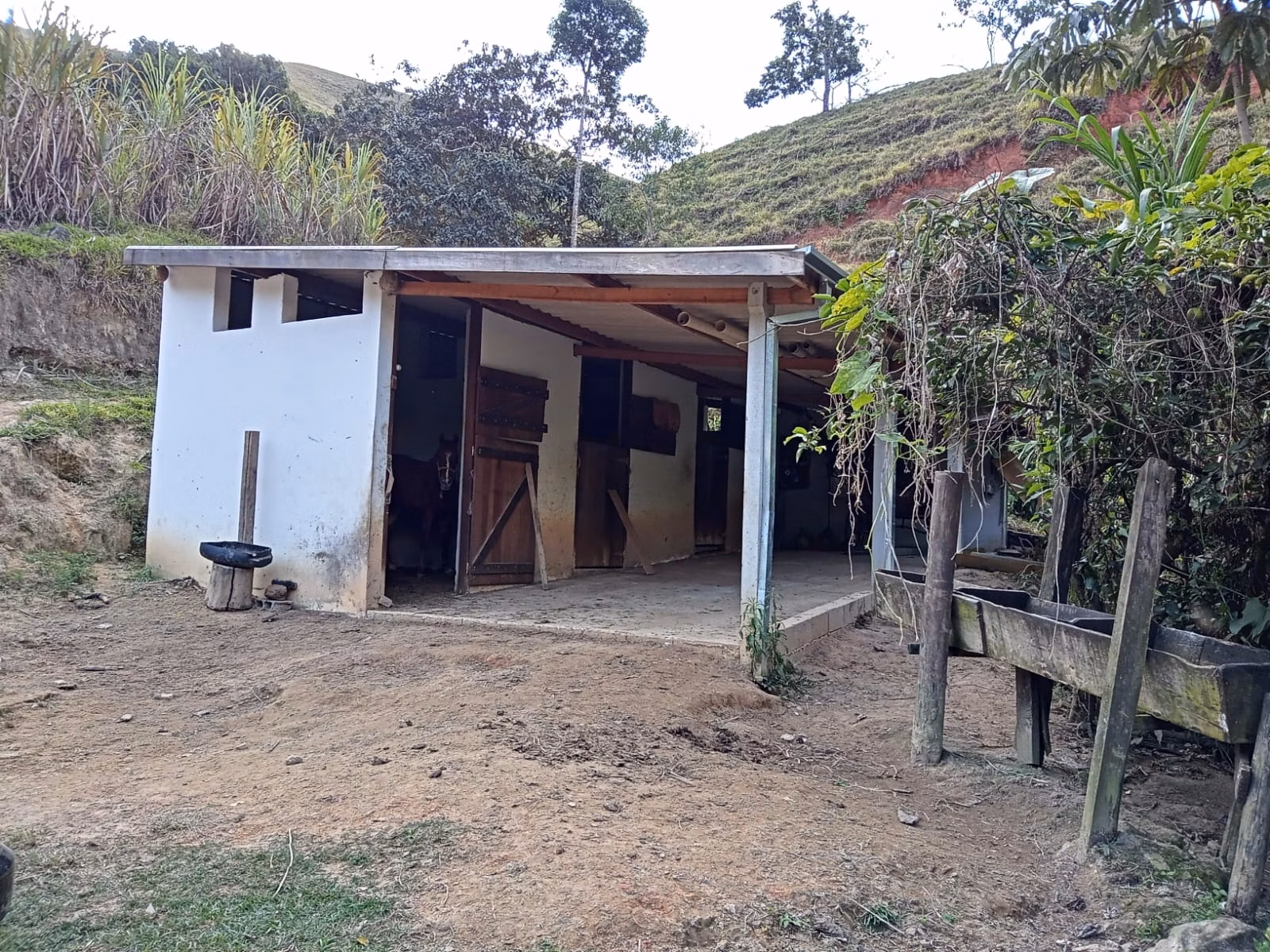 Small farm of 48 acres in São José dos Campos, SP, Brazil
