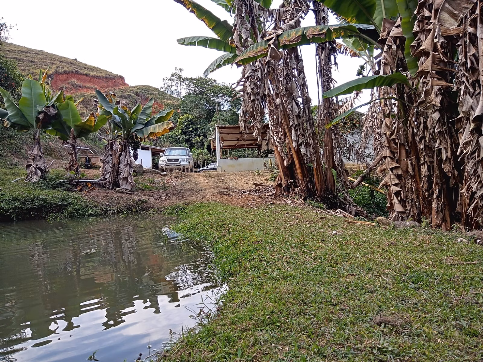 Small farm of 48 acres in São José dos Campos, SP, Brazil