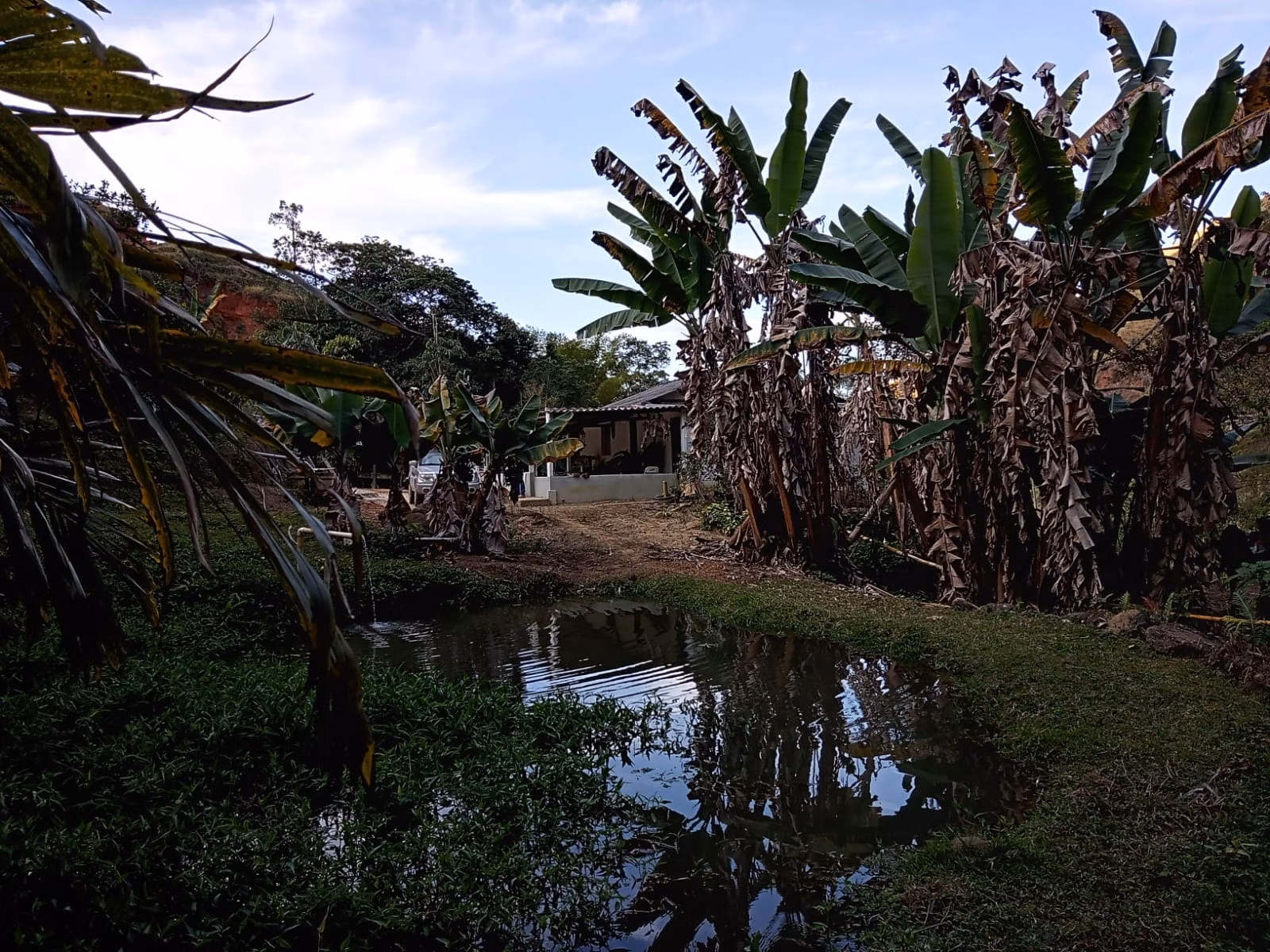 Small farm of 48 acres in São José dos Campos, SP, Brazil