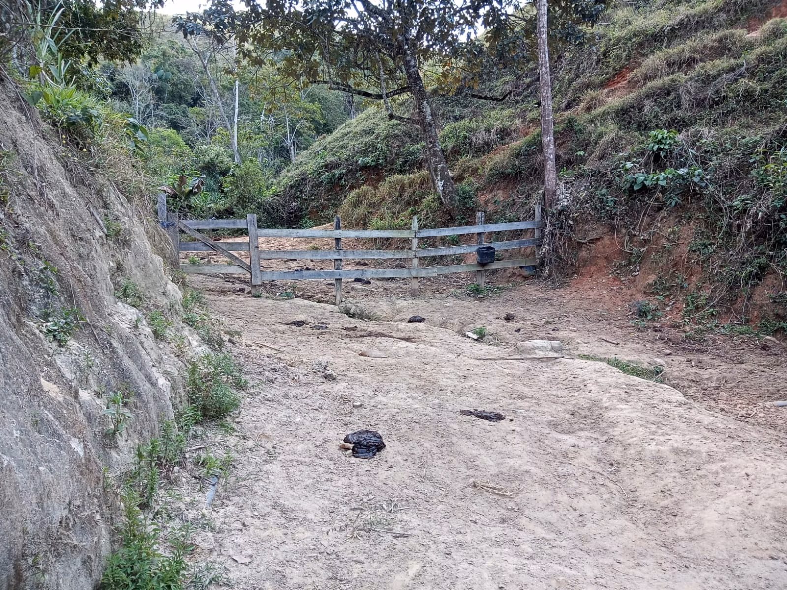 Small farm of 48 acres in São José dos Campos, SP, Brazil