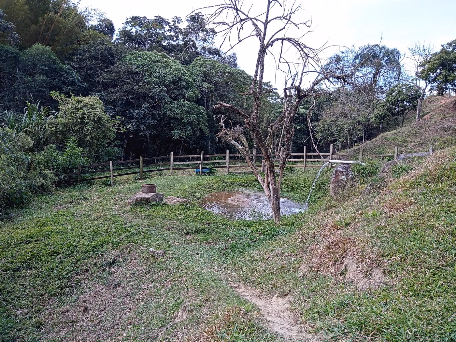 Small farm of 48 acres in São José dos Campos, SP, Brazil