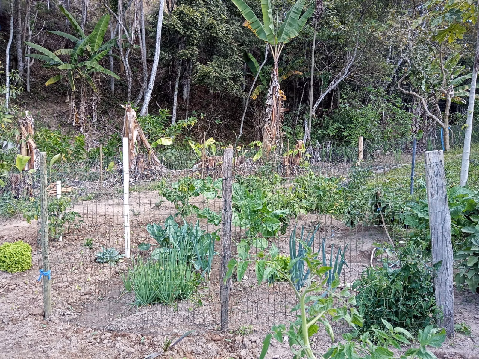 Small farm of 48 acres in São José dos Campos, SP, Brazil