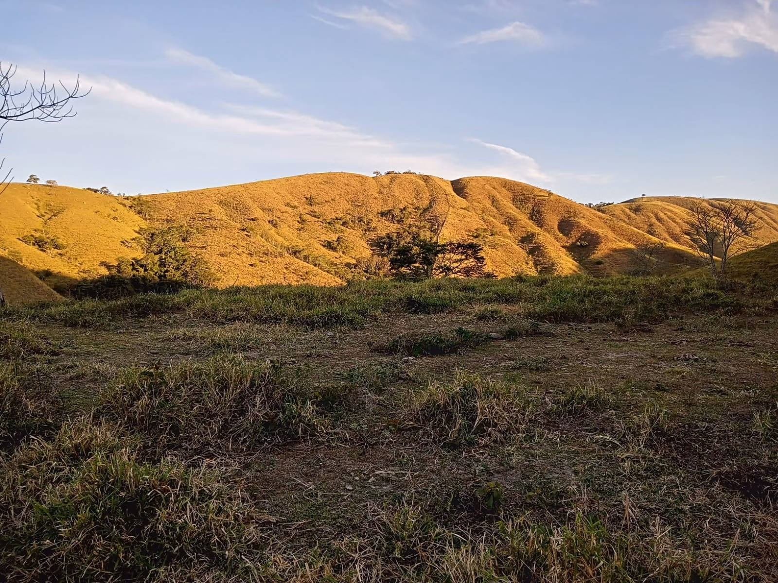 Small farm of 48 acres in São José dos Campos, SP, Brazil