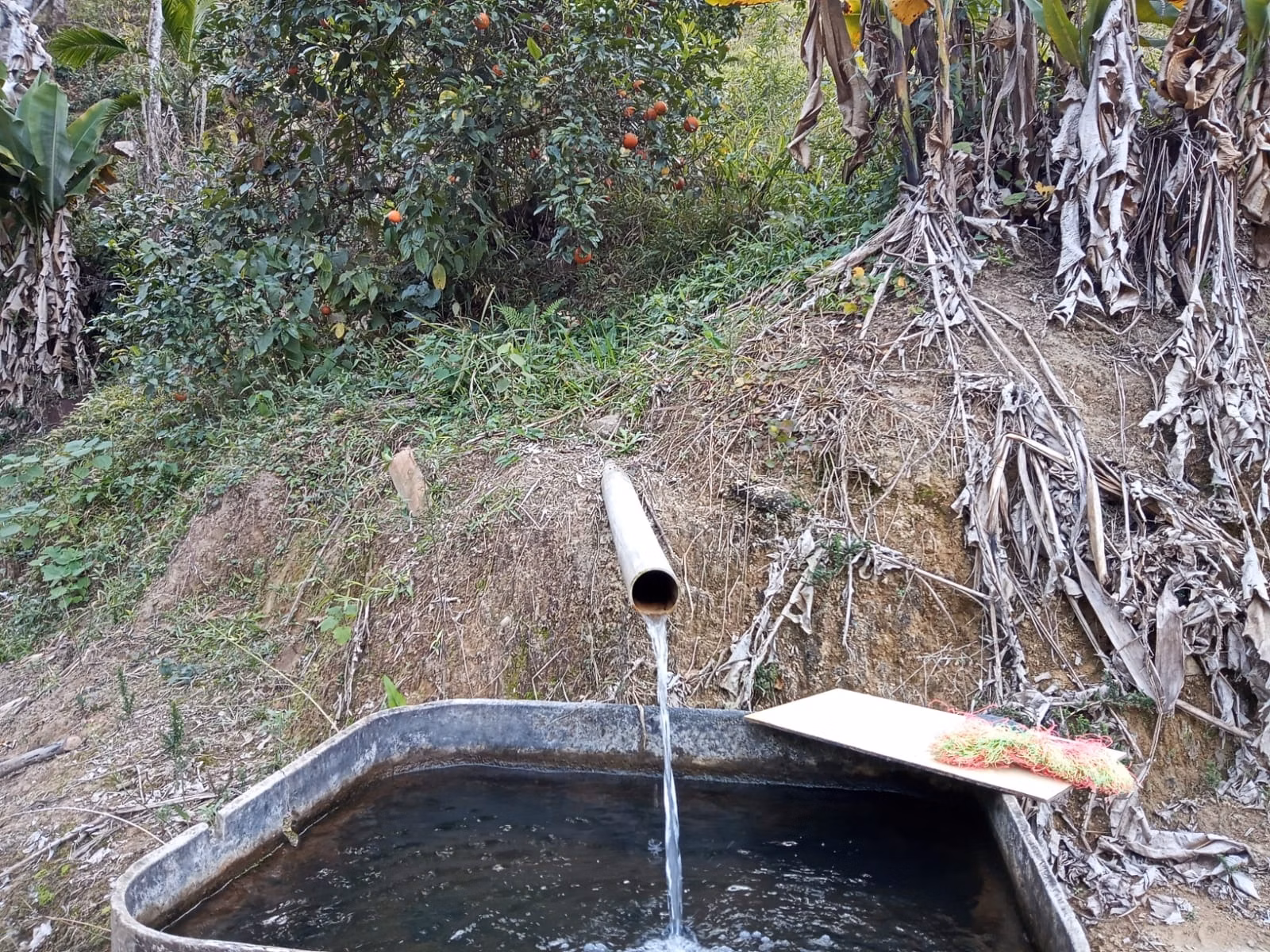 Small farm of 48 acres in São José dos Campos, SP, Brazil