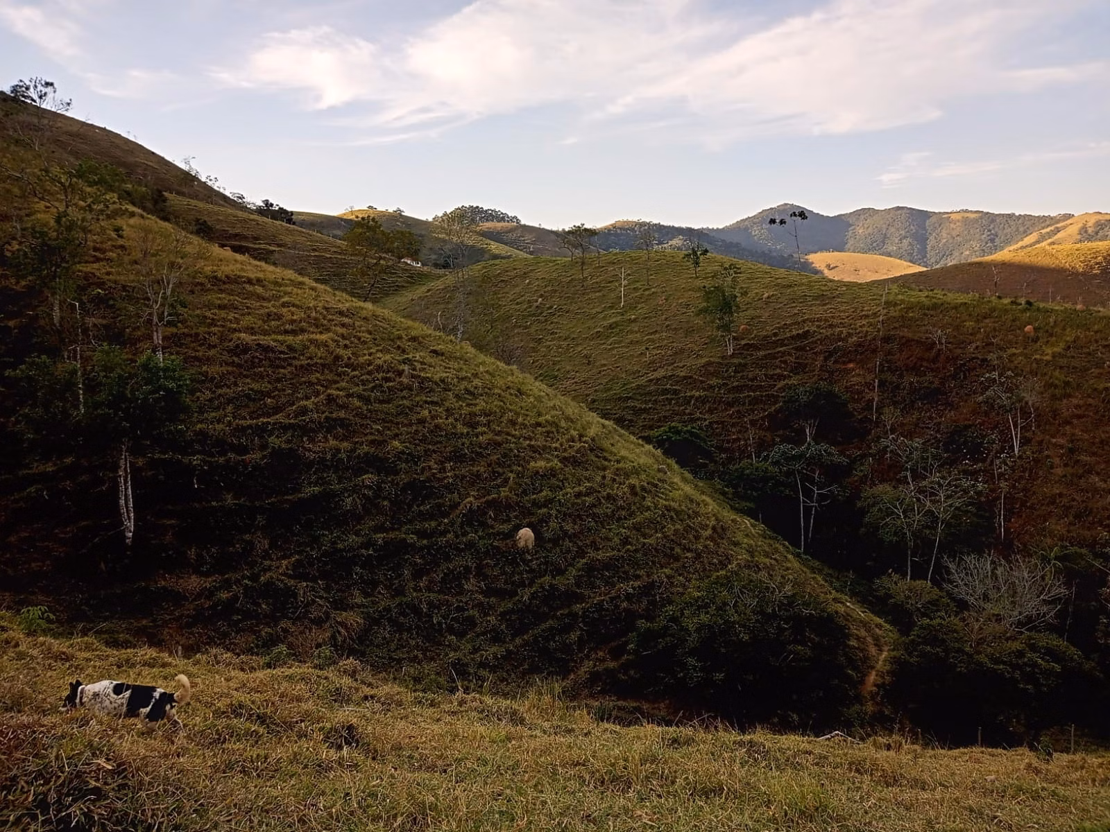 Small farm of 48 acres in São José dos Campos, SP, Brazil