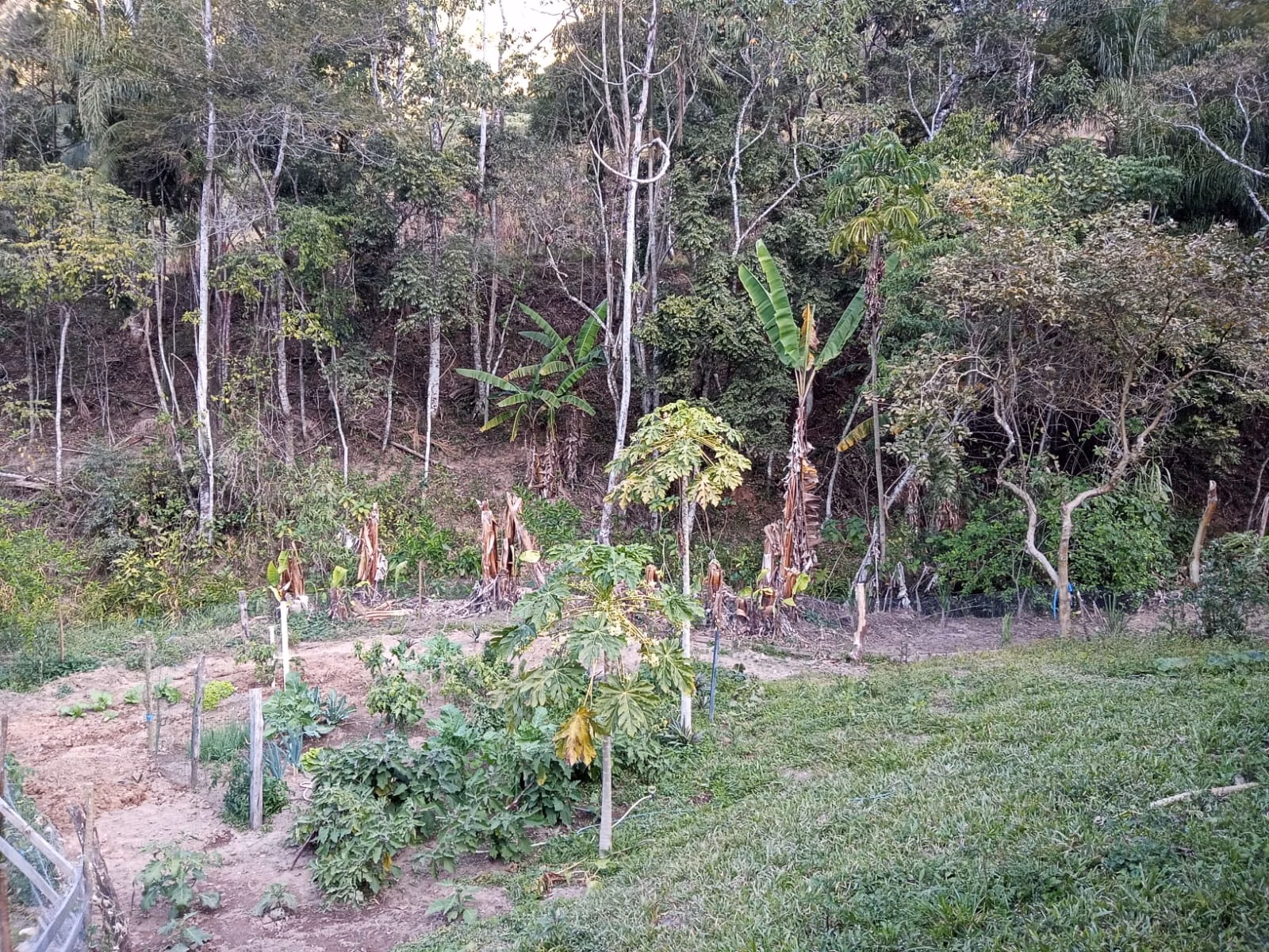 Sítio de 19 ha em São José dos Campos, SP