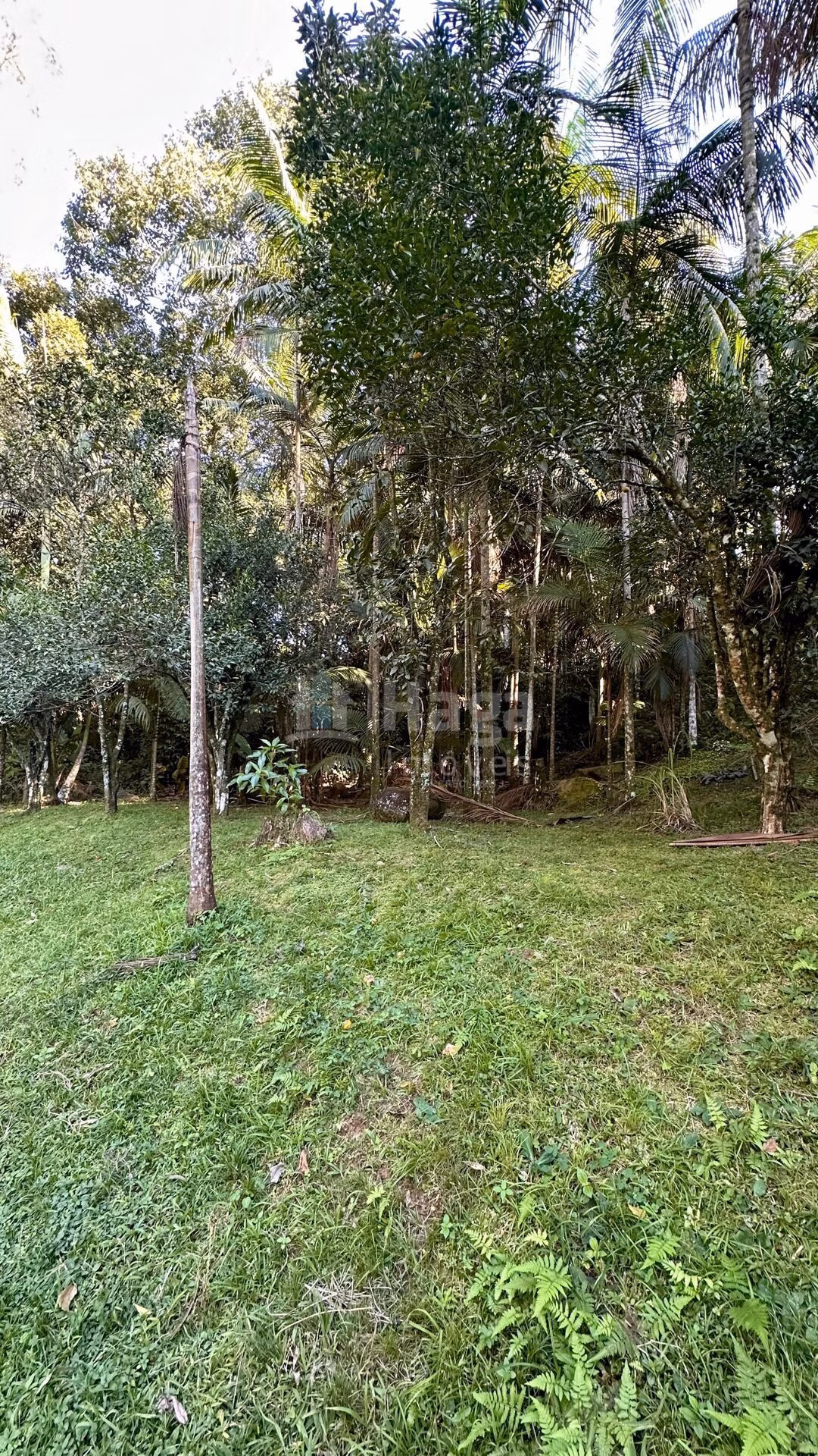 Chácara de 3.000 m² em Tijucas, SC
