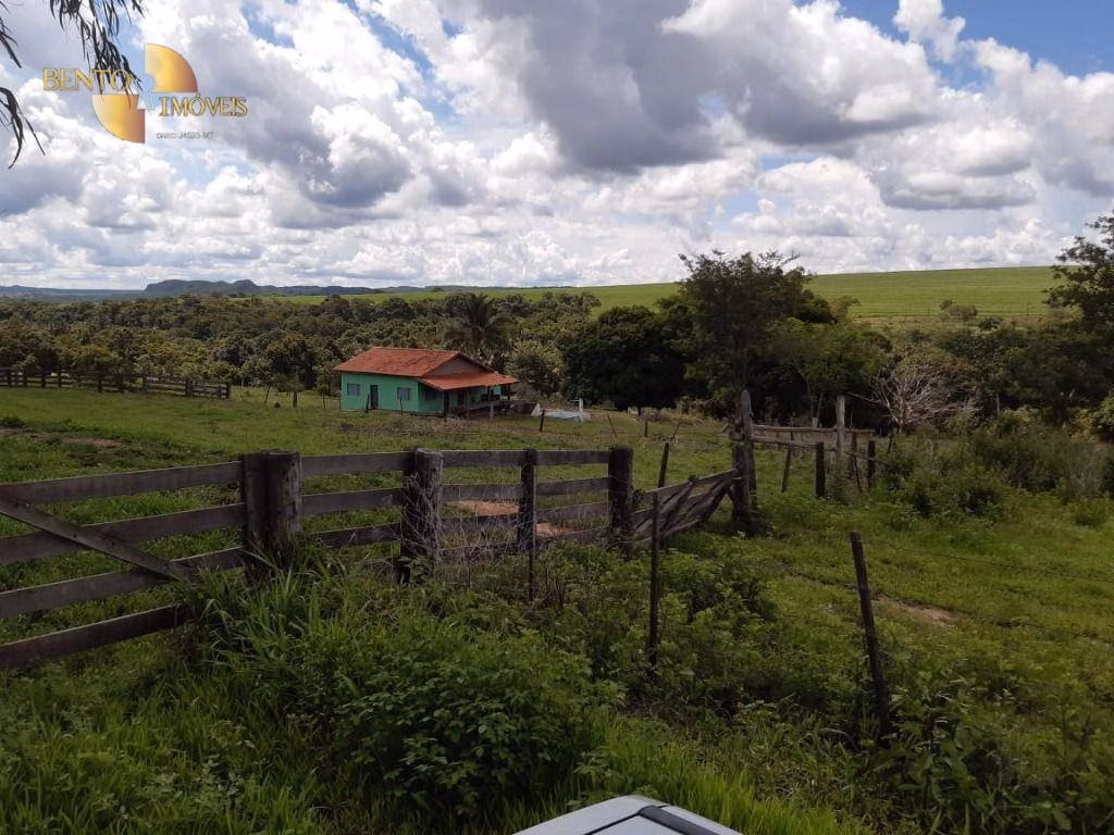 Fazenda de 260 ha em Rondonópolis, MT