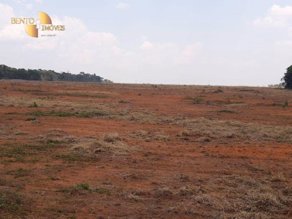 Fazenda de 2.100 ha em São José do Rio Claro, MT